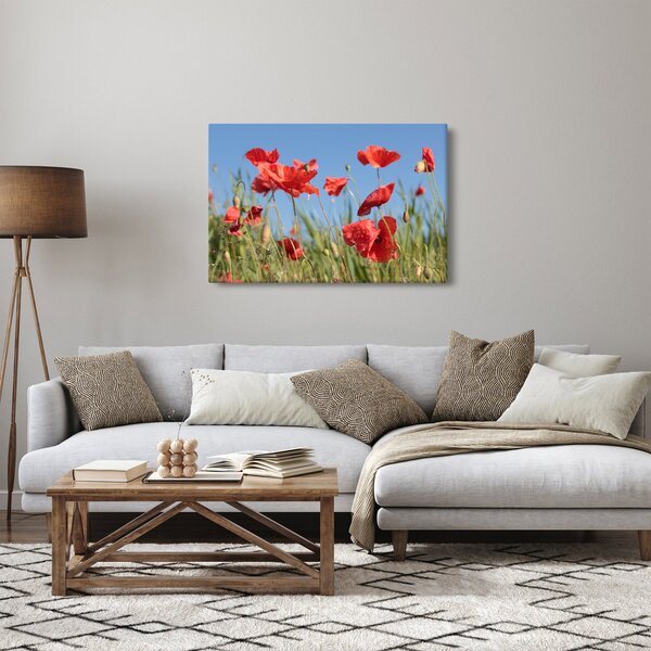 Kép - Pipacsok (90x60 cm)