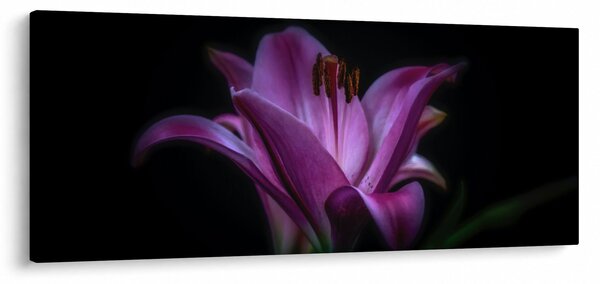 A liliom képe (120x50 cm)