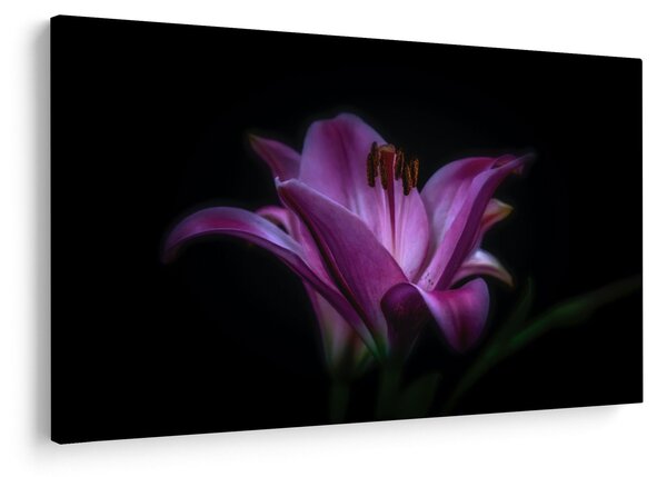 A liliom képe (90x60 cm)