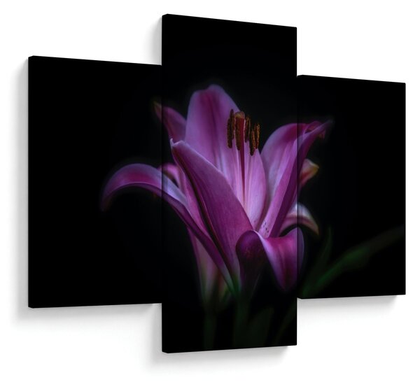 A liliom képe (90x60 cm)