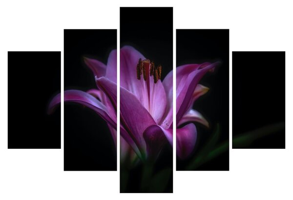 A liliom képe (150x105 cm)
