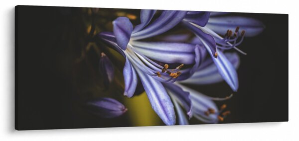 Kép - Lila (120x50 cm)