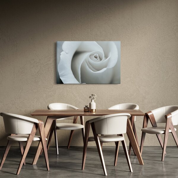 Kép - Fehér rózsa (90x60 cm)