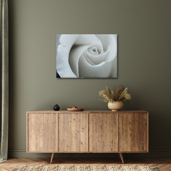 Kép - Fehér rózsa (70x50 cm)