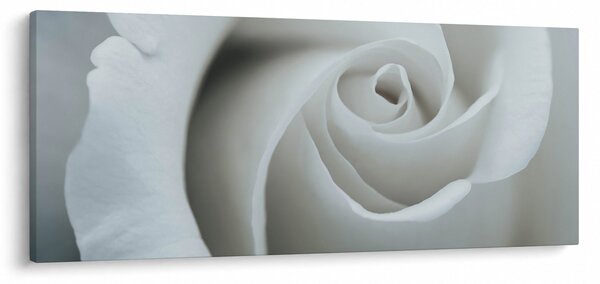 Kép - Fehér rózsa (120x50 cm)