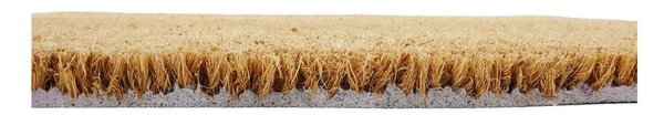 Kókuszrost lábtörlő 40x60 cm Paw Prints – Artsy Doormats