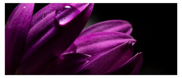 Kép - Vízcsepp (120x50 cm)