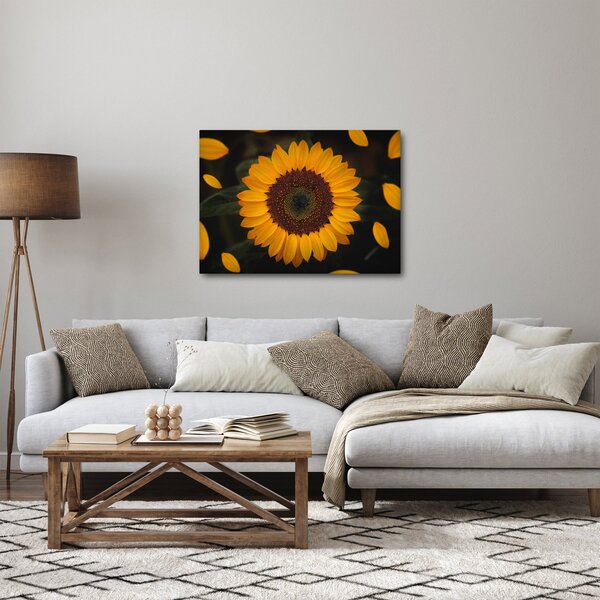 Kép - Napraforgók és a virágszirmok (70x50 cm)