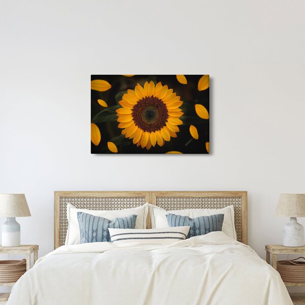 Kép - Napraforgók és a virágszirmok (90x60 cm)