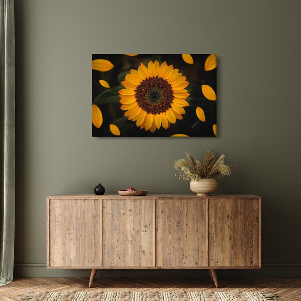 Kép - Napraforgók és a virágszirmok (90x60 cm)