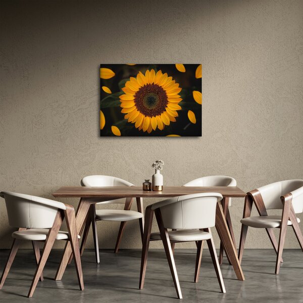 Kép - Napraforgók és a virágszirmok (70x50 cm)