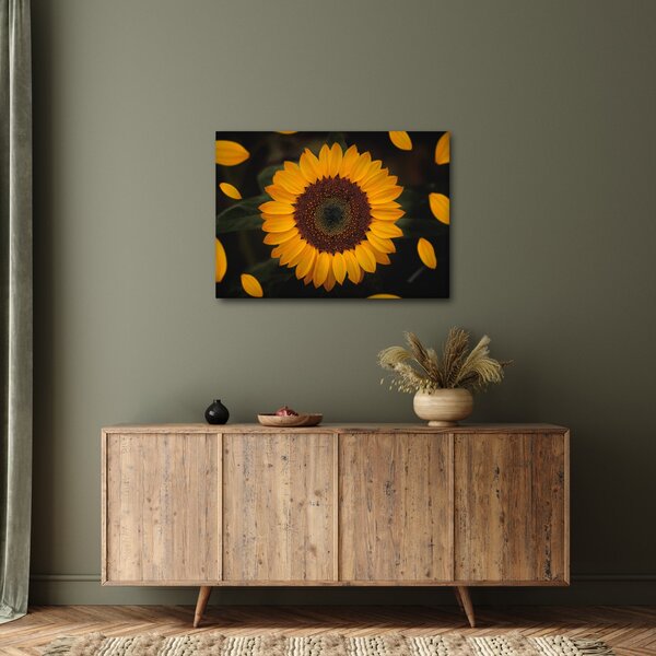 Kép - Napraforgók és a virágszirmok (70x50 cm)