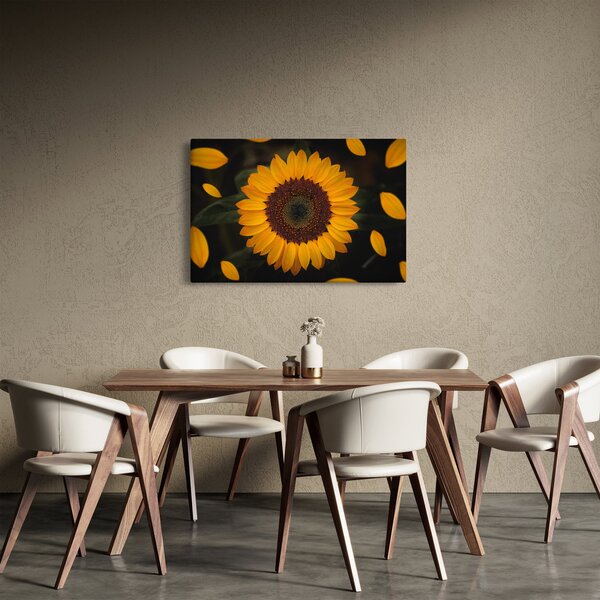 Kép - Napraforgók és a virágszirmok (90x60 cm)