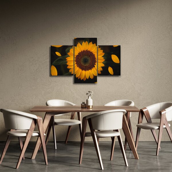 Kép - Napraforgók és a virágszirmok (90x60 cm)