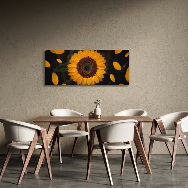 Kép - Napraforgók és a virágszirmok (120x50 cm)