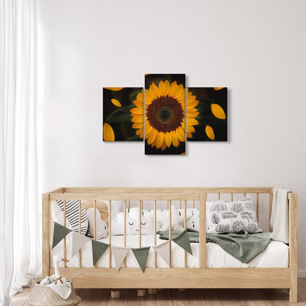 Kép - Napraforgók és a virágszirmok (90x60 cm)