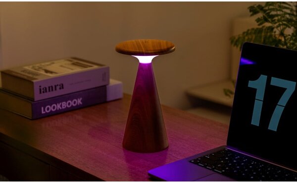 Sötét natúr színű LED asztali lámpa fa búrával (magasság 21 cm) Sylva – Gingko