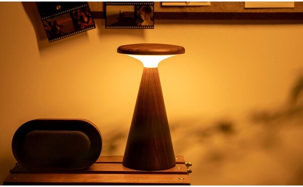 Sötét natúr színű LED asztali lámpa fa búrával (magasság 21 cm) Sylva – Gingko
