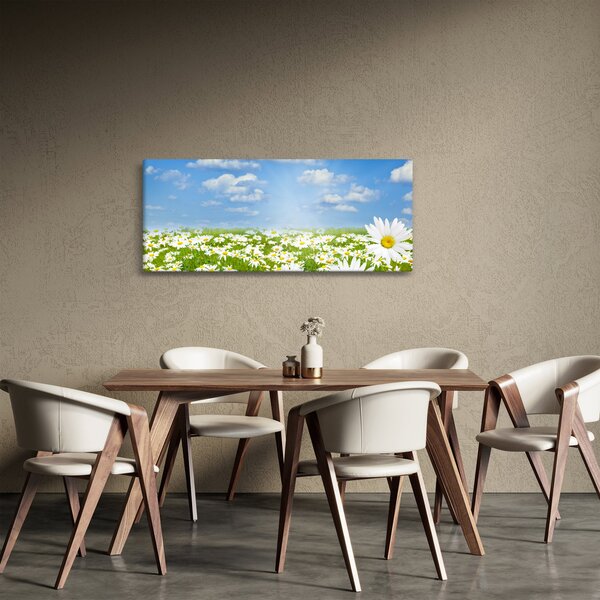 A virágzó rét százszorszépekkel képe (120x50 cm)
