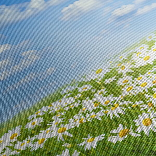 A virágzó rét százszorszépekkel képe (90x60 cm)