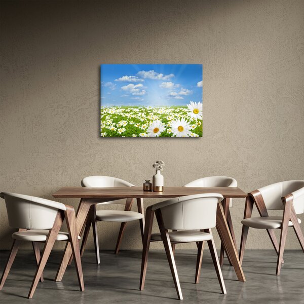 A virágzó rét százszorszépekkel képe (70x50 cm)