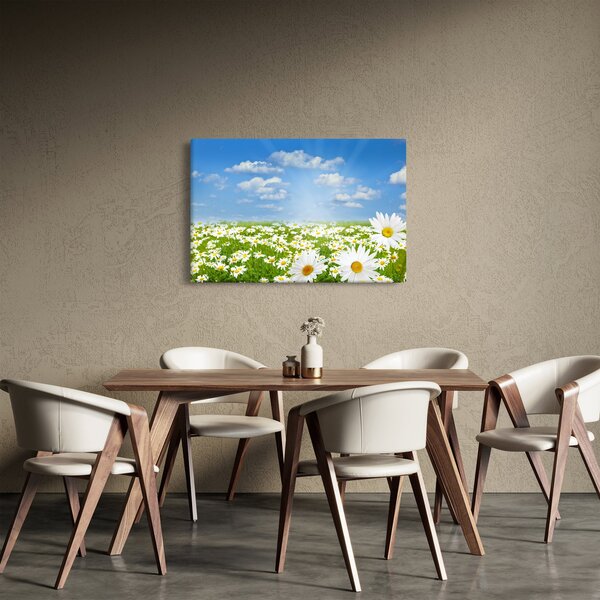 A virágzó rét százszorszépekkel képe (90x60 cm)