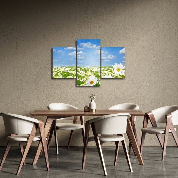 A virágzó rét százszorszépekkel képe (90x60 cm)