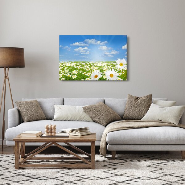A virágzó rét százszorszépekkel képe (90x60 cm)