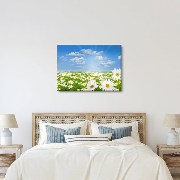A virágzó rét százszorszépekkel képe (70x50 cm)