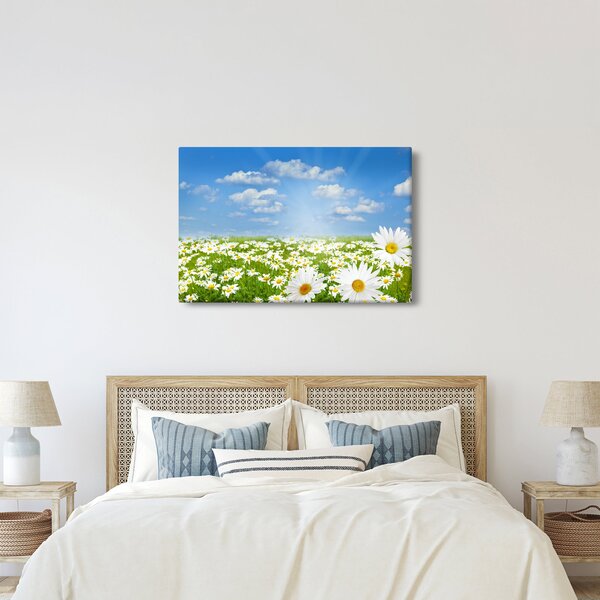 A virágzó rét százszorszépekkel képe (90x60 cm)