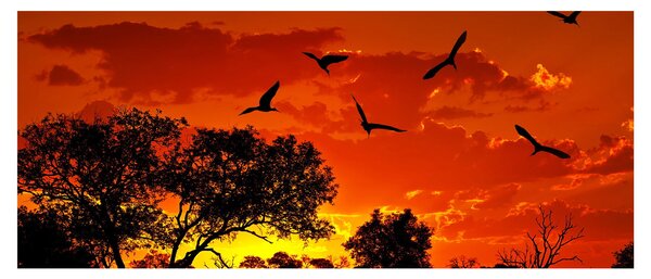 Madarak képe naplementekor (120x50 cm)