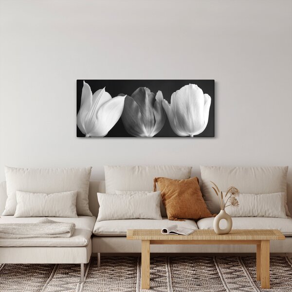 Kép - fekete-fehér tulipán virág (120x50 cm)