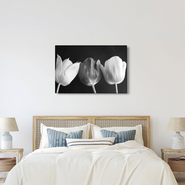Kép - fekete-fehér tulipán virág (90x60 cm)