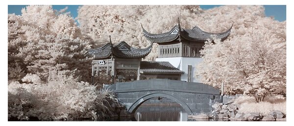 Kép - Virágzó fák Ázsiában (120x50 cm)
