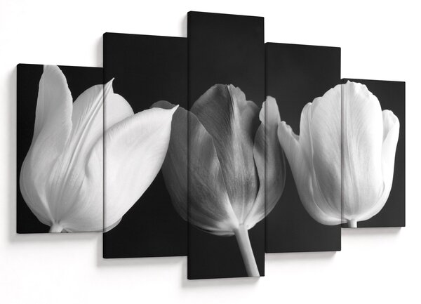 Kép - fekete-fehér tulipán virág (150x105 cm)
