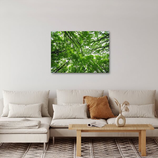 Kép - Kilátás a fák tetejére (70x50 cm)