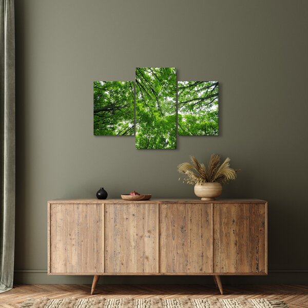 Kép - Kilátás a fák tetejére (90x60 cm)