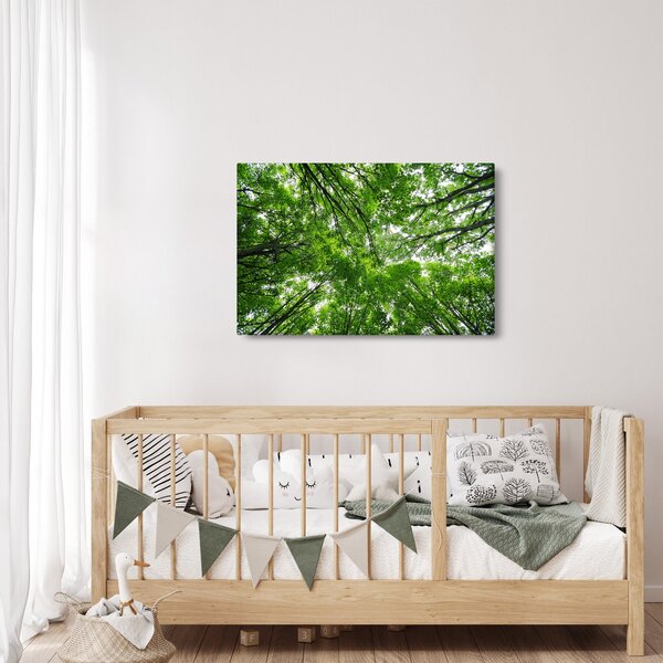 Kép - Kilátás a fák tetejére (90x60 cm)
