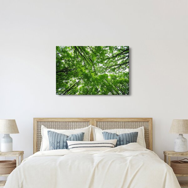 Kép - Kilátás a fák tetejére (90x60 cm)