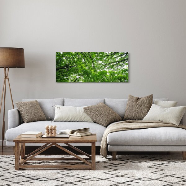Kép - Kilátás a fák tetejére (120x50 cm)