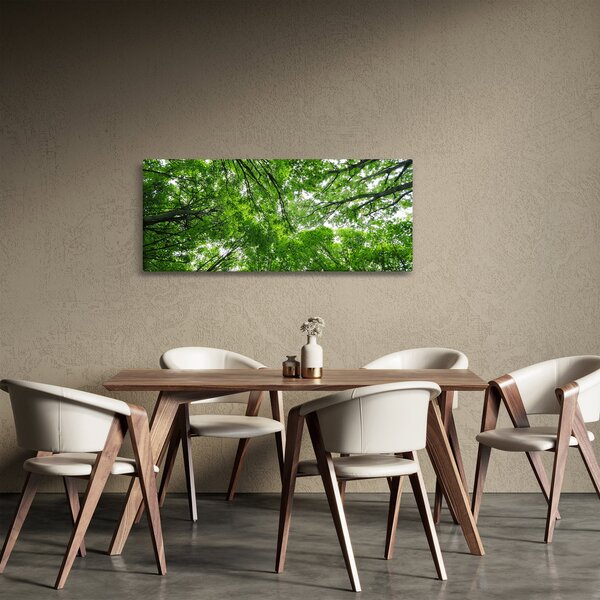 Kép - Kilátás a fák tetejére (120x50 cm)