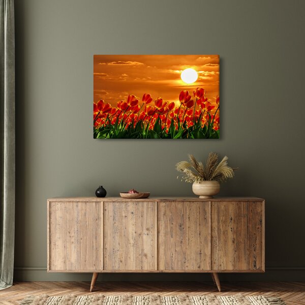 Kép egy virágzó mező tulipánokkal (90x60 cm)