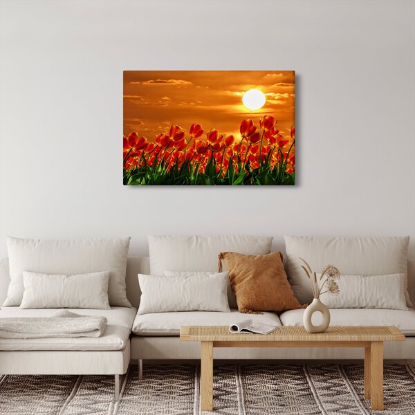 Kép egy virágzó mező tulipánokkal (90x60 cm)