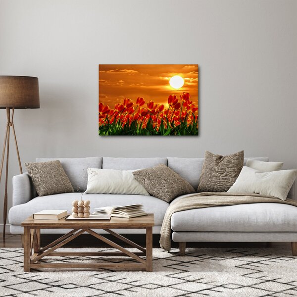 Kép egy virágzó mező tulipánokkal (70x50 cm)