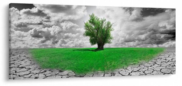 Kép - egy darab természet a városban (120x50 cm)