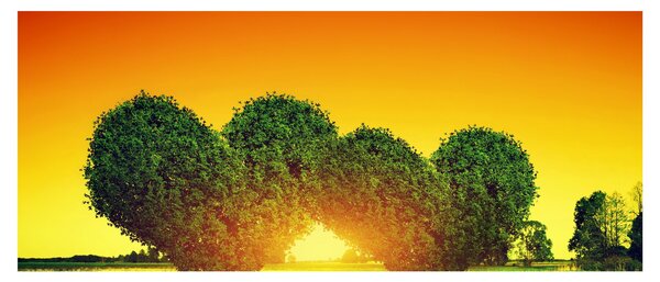 Kép - szív a fák tetején (120x50 cm)