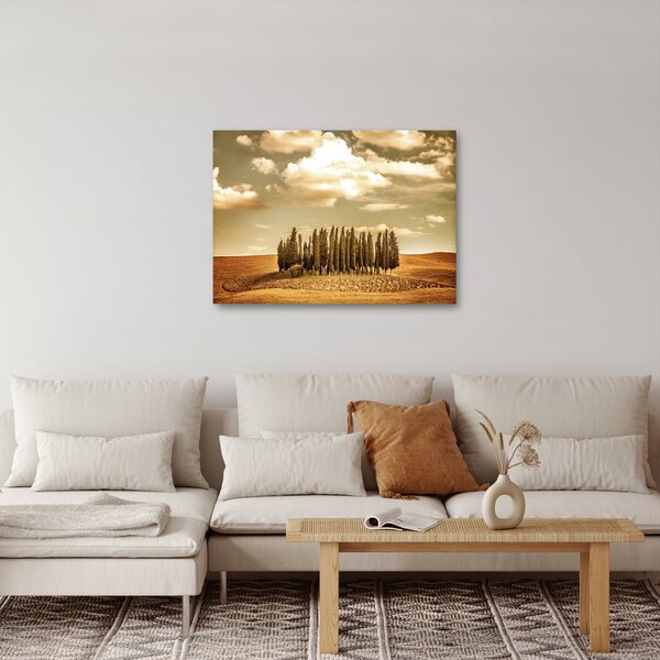 A Tisztás képe (70x50 cm)