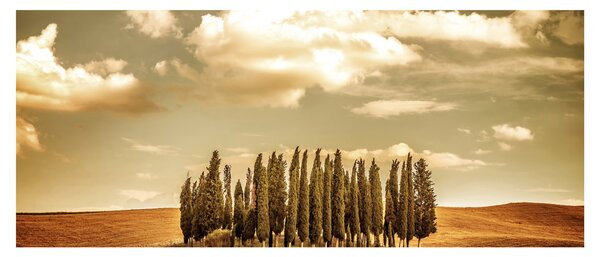 A Tisztás képe (120x50 cm)