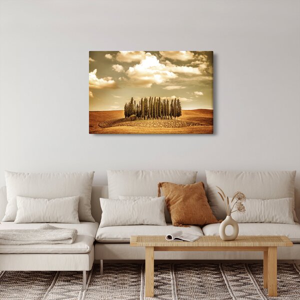 A Tisztás képe (90x60 cm)