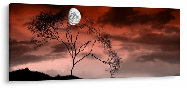 Kép - Hold megvilágítja az éjszakát (120x50 cm)